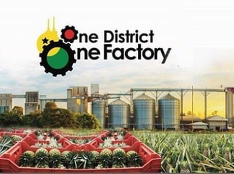 Manufacturing,1D1F,