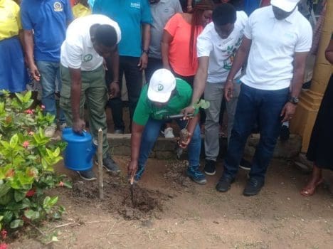 Climate Ecobank plant