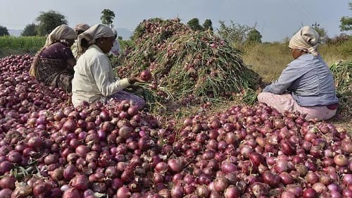 Makola onion Telecel