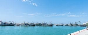 Industrial fisheries sector