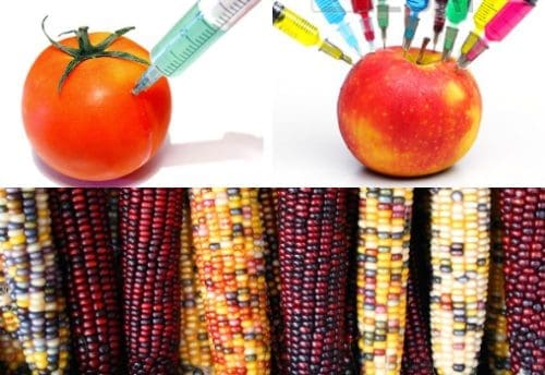 Genetically modified foods