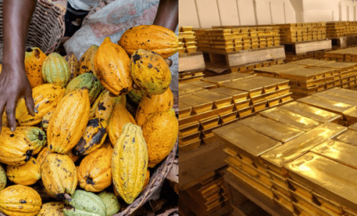 Cocoa gold Alagidede