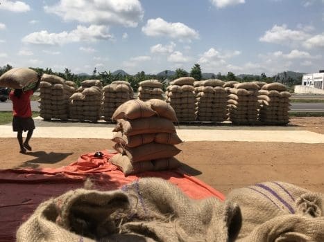 Bag cocoa increased price