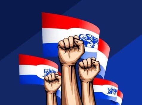 NPP members amnesty sector committees