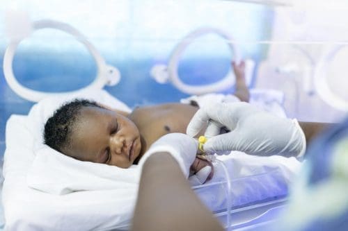 Fertility rates