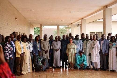 ECOWAS livestock programme