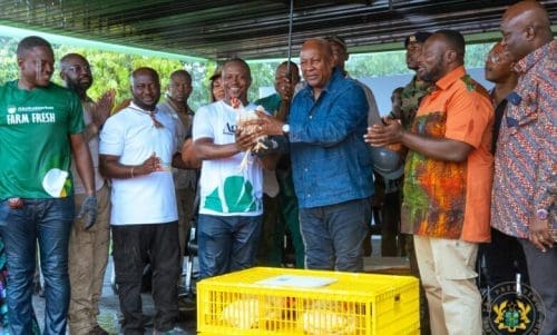 Mahama Nkokɔ Nkitinkiti