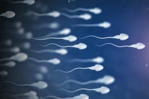 Sperm natural