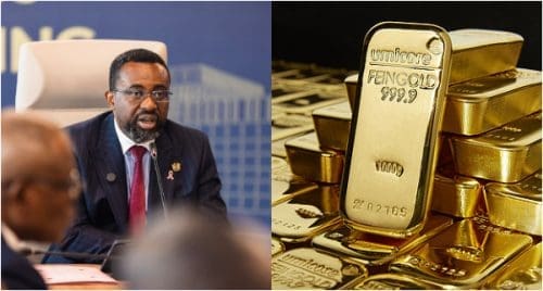 BoG small-scale gold