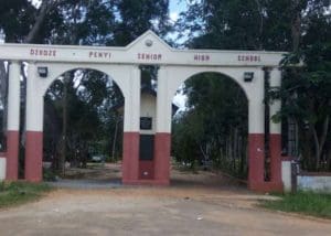 Dzodze-Penyi SHS abortion