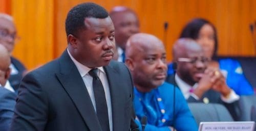 Ntim Fordjour NDC Minority anti-LGBTQI+ Bill