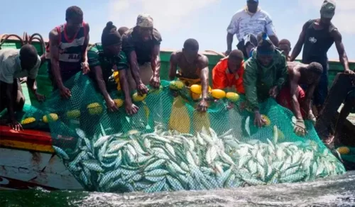 Atlantic tuna fisheries