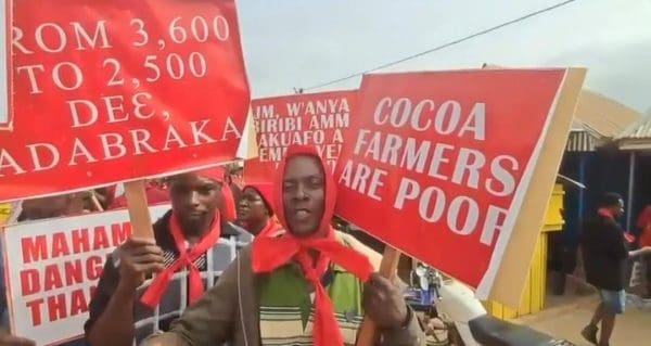 Cocoa farmers price cut