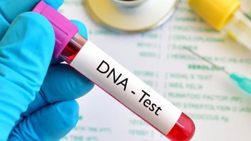 DNA man