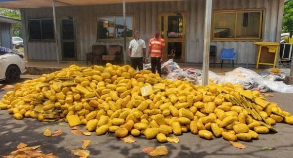 Tema police narcotics