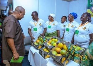 Cashew exports Mahama