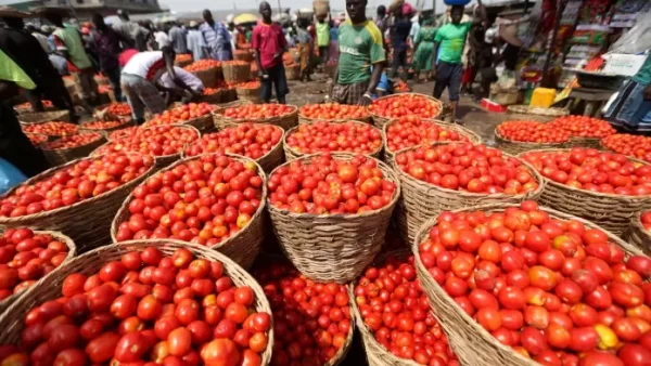 Tomato prices Accra Burkina export
