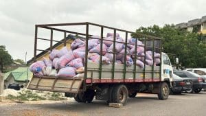 Police cannabis bribe