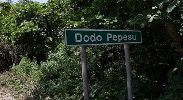 Dodo Pepesu-Nkwanta road