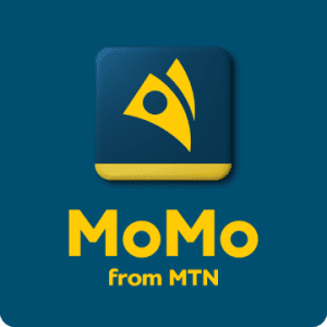 OTP PIN fraudster