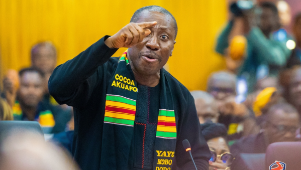 Minority Bawumia gold