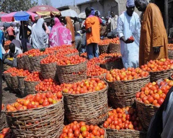 Tomato shortage exports Ghana shortfall imports Agribusiness