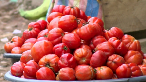 FABAG tomato imports Burkina exports