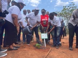 Ghana tree planting