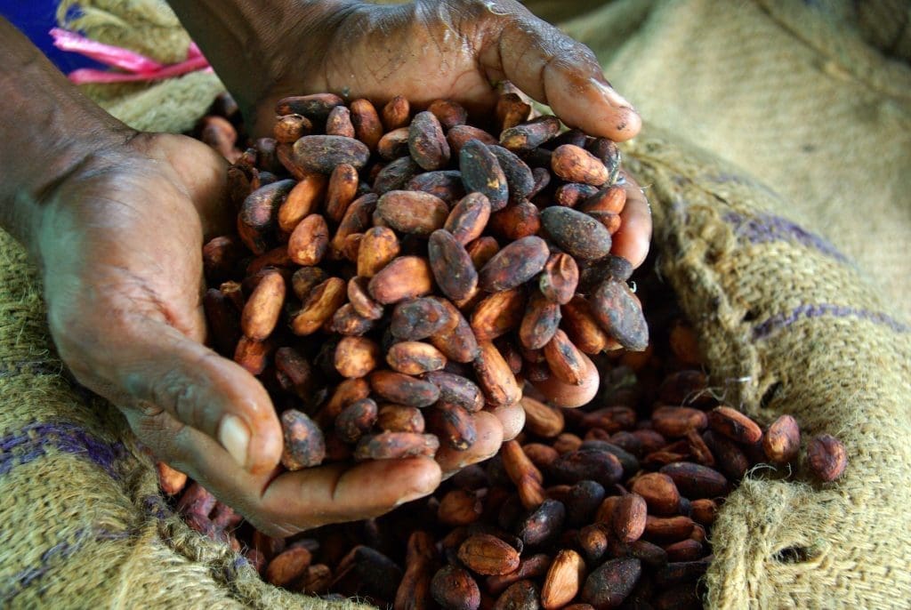 Arrested cocoa smuggling prices ICE