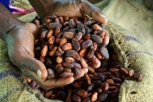 Arrested cocoa smuggling prices ICE