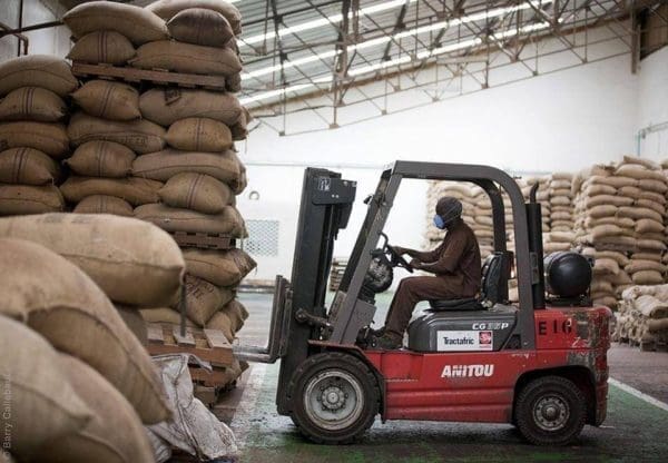 Pressure cocoa prices crop