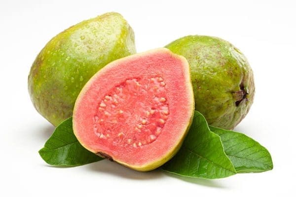 Benefits guava regularly