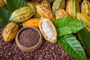COCOBOD LBCs farmers