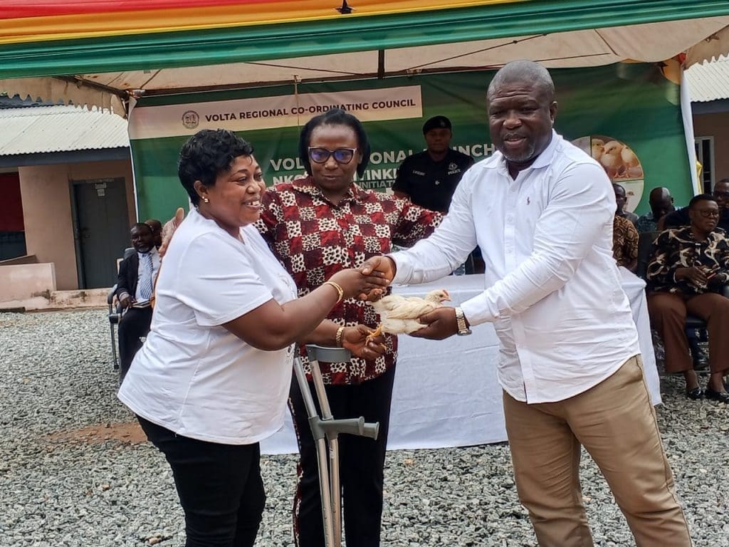 Feed Ghana programme