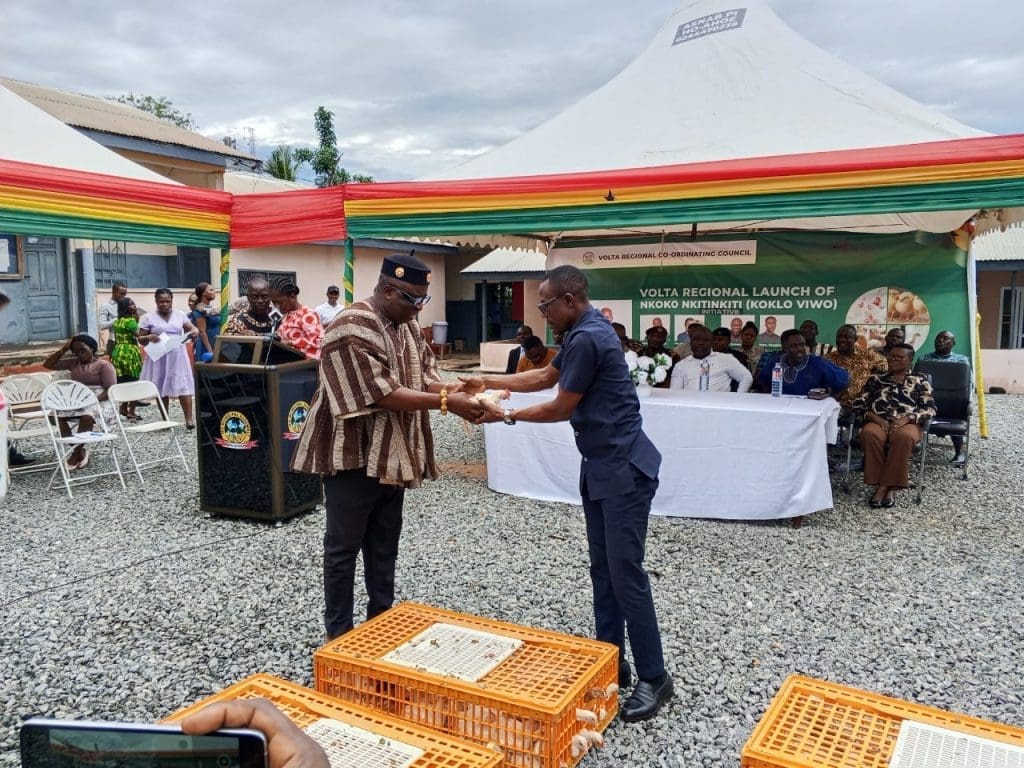 Feed Ghana programme