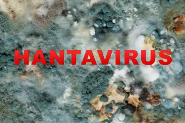 Hantavirus spread