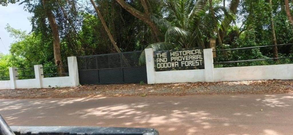 Dodowa Forest market