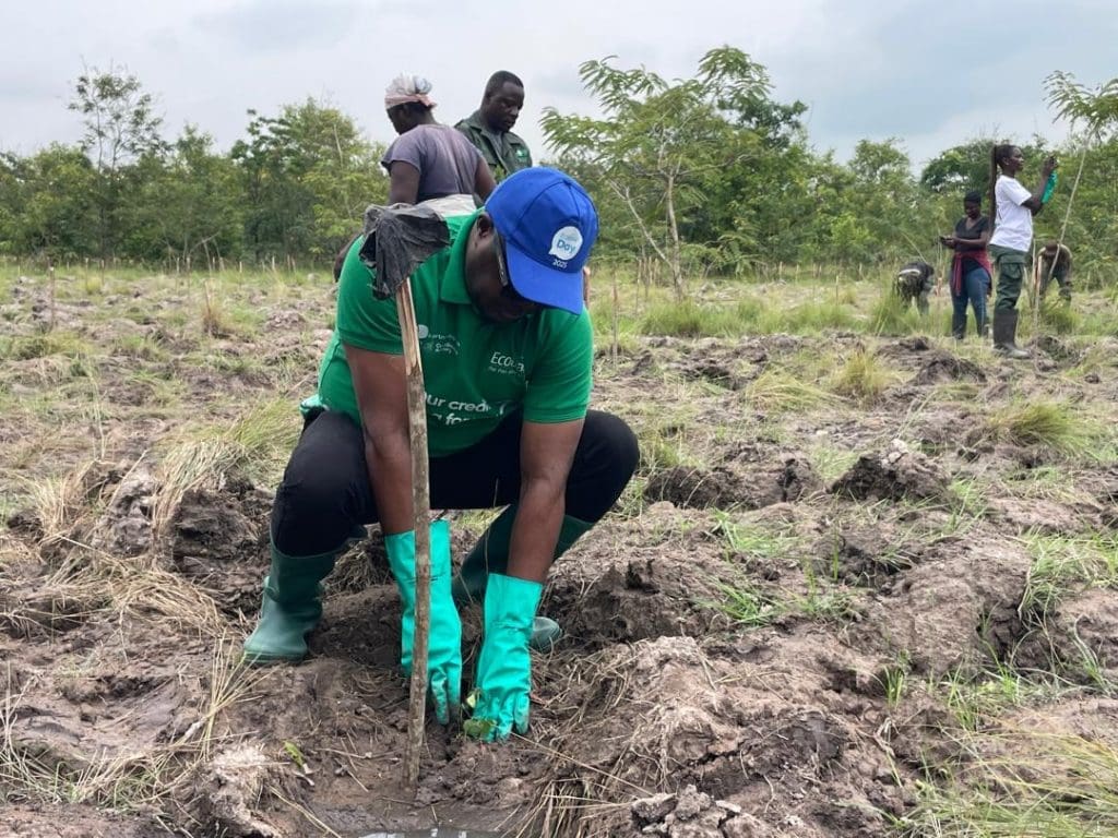 Ecobank Chipa Forest
