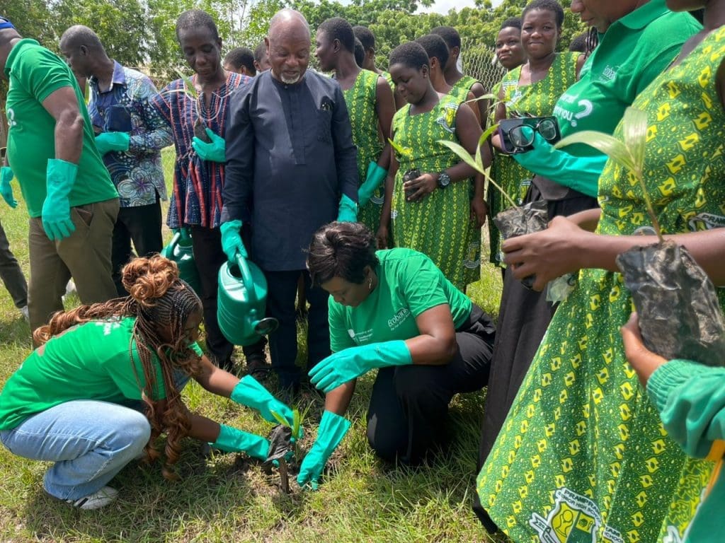 Ecobank plants trees