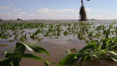 Farmlands destroyed