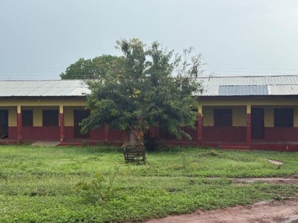 Bat school classroom