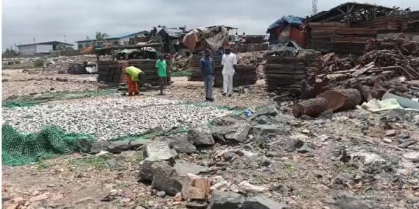 Fishmongers demolition fish