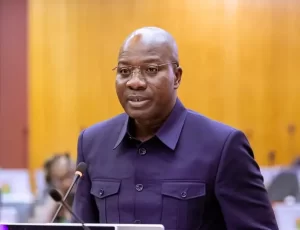 Mahama Zanetor Ministers