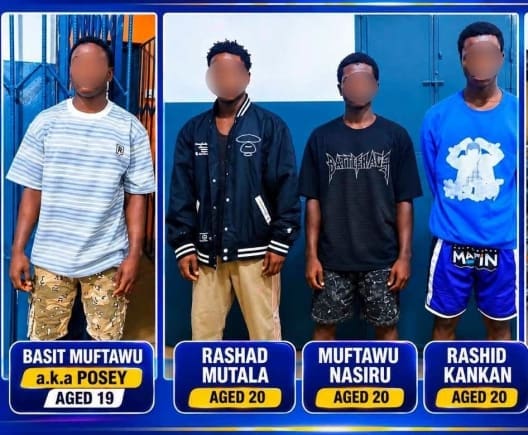 Robbery suspects