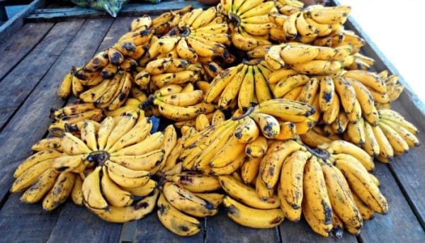 FDA chemical-ripened plantain