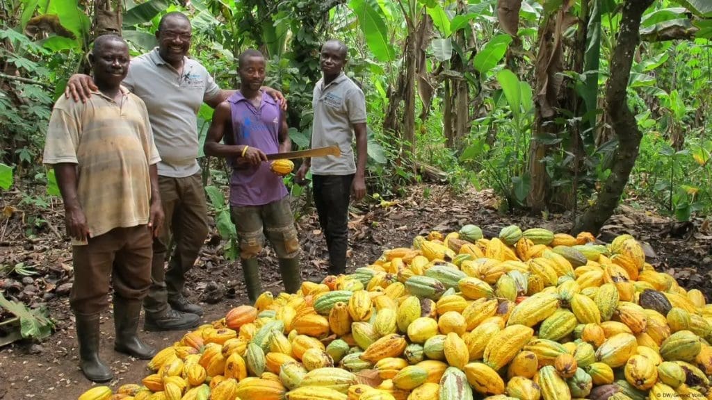 Cocoa law farmers Marketers Mahama bill