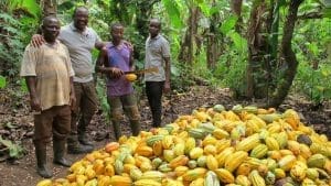 Cocoa law farmers Marketers Mahama bill