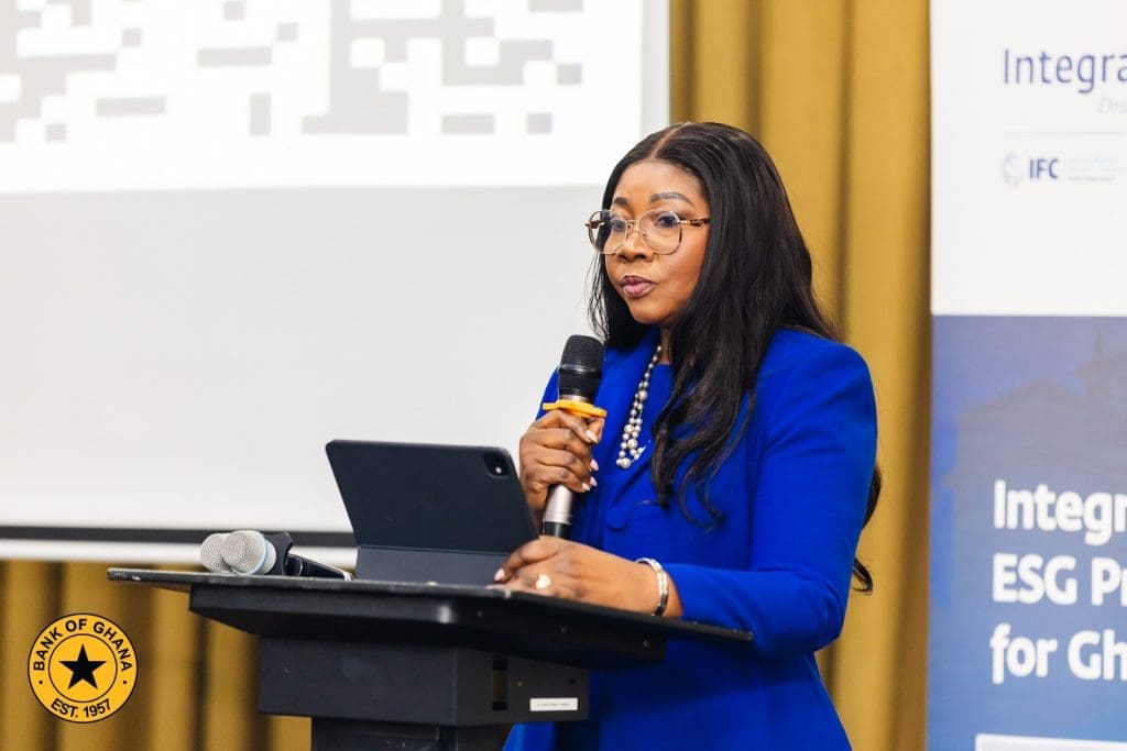 BoG SME financing