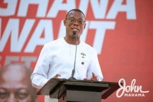 Fifi Kwetey, NDC General Secretary