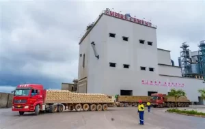 Empire cement